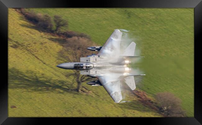 RAF Lakenheath F-15 E in the weeds Framed Print by Rory Trappe
