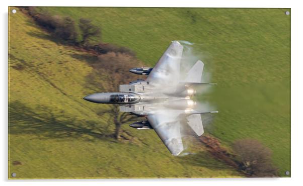 RAF Lakenheath F-15 E in the weeds Acrylic by Rory Trappe