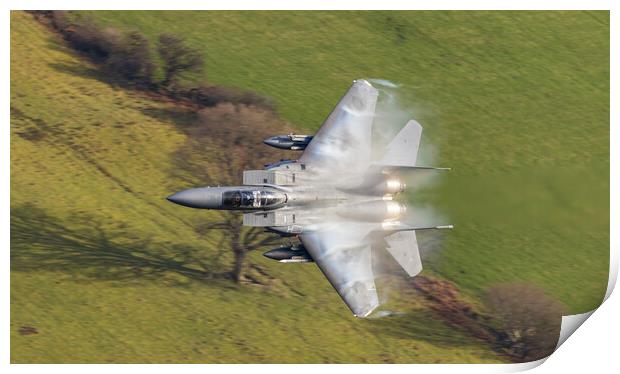 RAF Lakenheath F-15 E in the weeds Print by Rory Trappe
