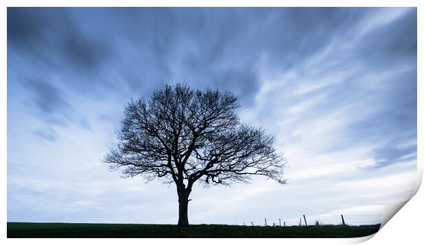 Tree at Dusk Print by Mark Jones