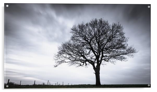 Tree at Dusk Acrylic by Mark Jones