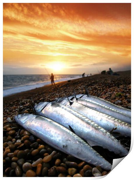 Chesil Beach Bounty Print by David Neighbour