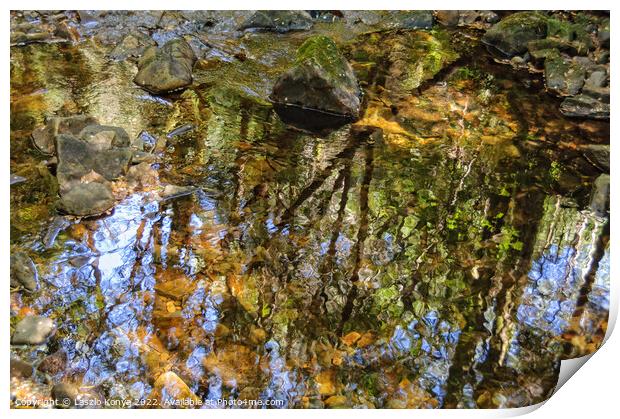 Reflection in the Nelson River - Tasmania Print by Laszlo Konya
