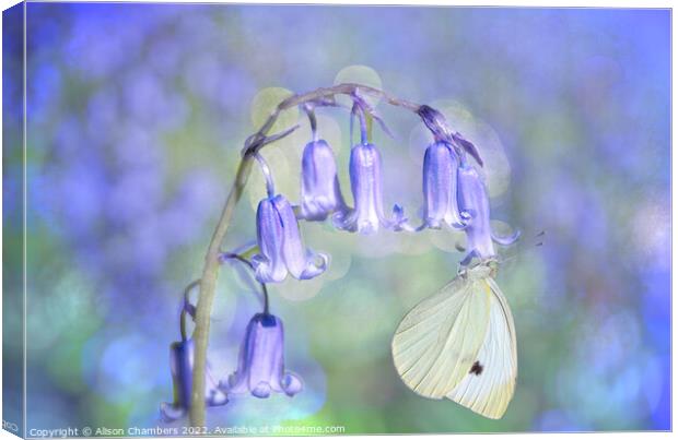 Bluebell and Butterfly Canvas Print by Alison Chambers