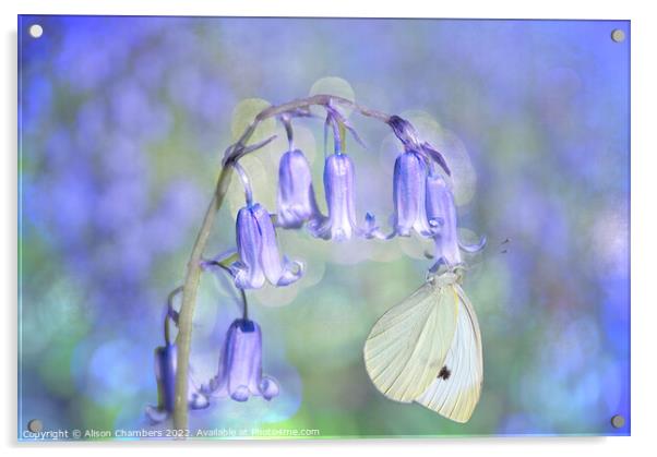 Bluebell and Butterfly Acrylic by Alison Chambers