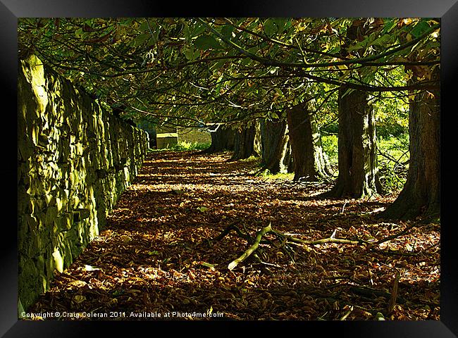 Abbey wall Framed Print by Craig Coleran