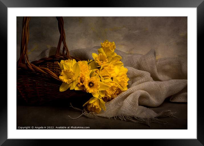 Basket With Daffodils Framed Mounted Print by Angela H