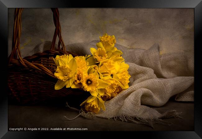 Basket With Daffodils Framed Print by Angela H