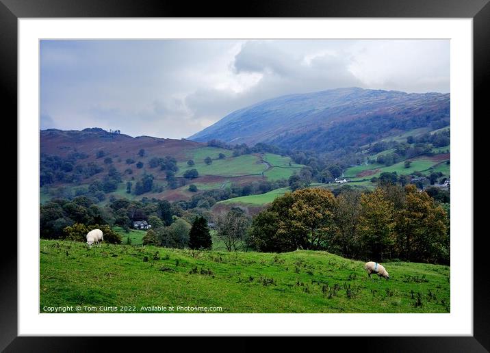 From Loughrigg Fell Cumbria Framed Mounted Print by Tom Curtis