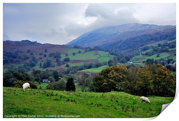 From Loughrigg Fell Cumbria Print by Tom Curtis