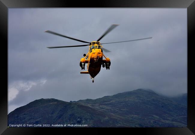 Sea King Helicopter Framed Print by Tom Curtis
