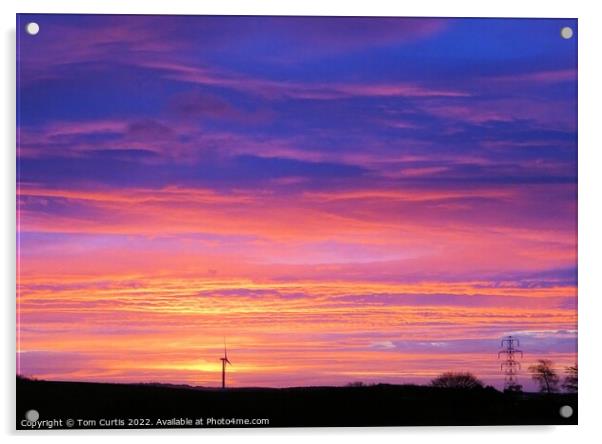 Colourful Sunrise at Cudworth Acrylic by Tom Curtis