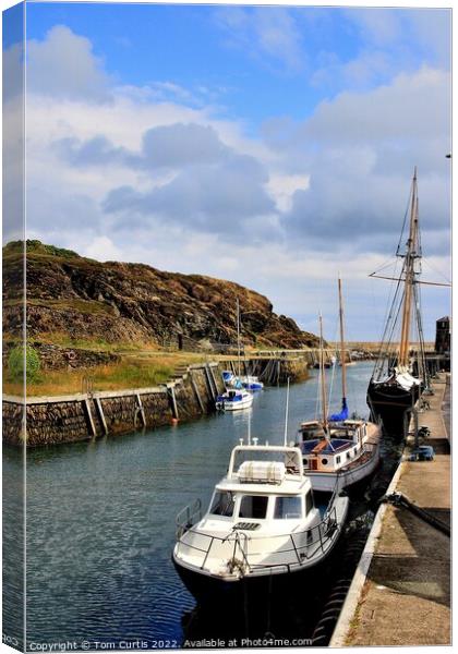 Amlwch Harbour Anglesey Wales Canvas Print by Tom Curtis