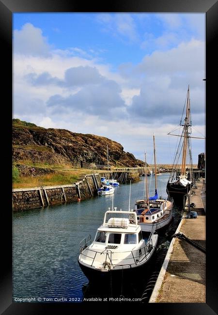 Amlwch Harbour Anglesey Wales Framed Print by Tom Curtis