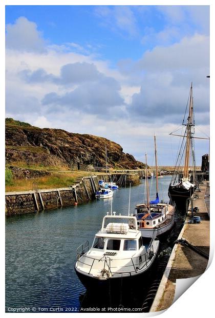 Amlwch Harbour Anglesey Wales Print by Tom Curtis