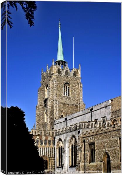 Chelmsford Cathedral Essex Canvas Print by Tom Curtis