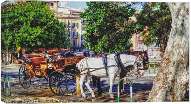 Horse And Carriage Palma Mallorca Canvas Print by Peter F Hunt