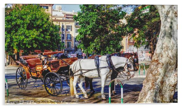 Horse And Carriage Palma Mallorca Acrylic by Peter F Hunt