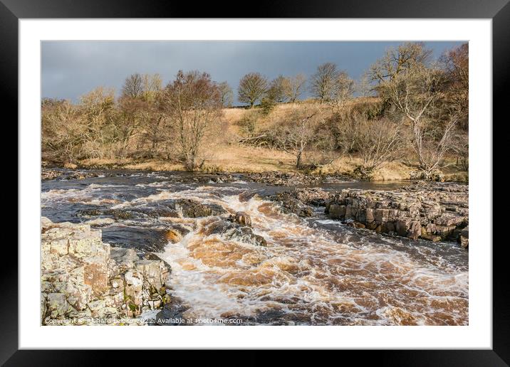 Bright Interval on the River Tees above Low Force Waterfall Framed Mounted Print by Richard Laidler