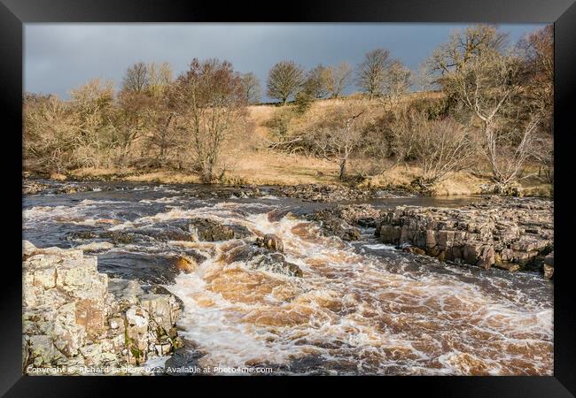 Bright Interval on the River Tees above Low Force Waterfall Framed Print by Richard Laidler