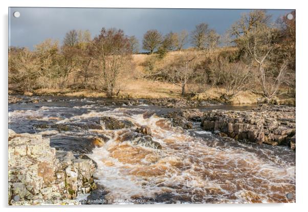 Bright Interval on the River Tees above Low Force Waterfall Acrylic by Richard Laidler