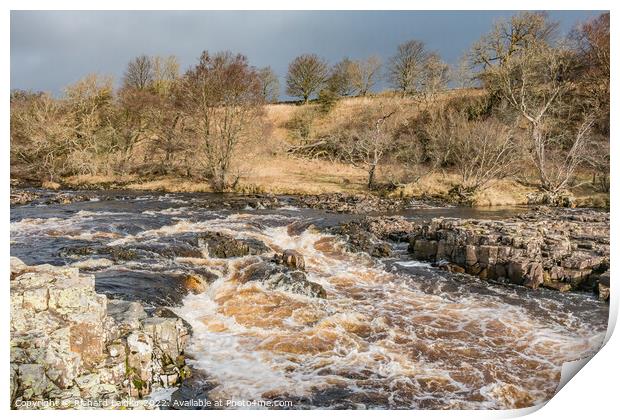 Bright Interval on the River Tees above Low Force Waterfall Print by Richard Laidler