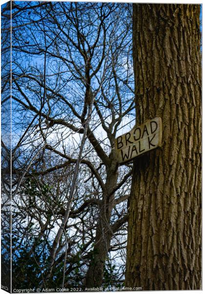 Broad Walk | Selsdon Wood Nature Reserve Canvas Print by Adam Cooke