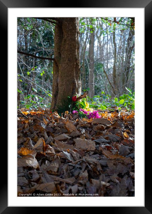 Tribute | Selsdon Wood Nature Reserve Framed Mounted Print by Adam Cooke