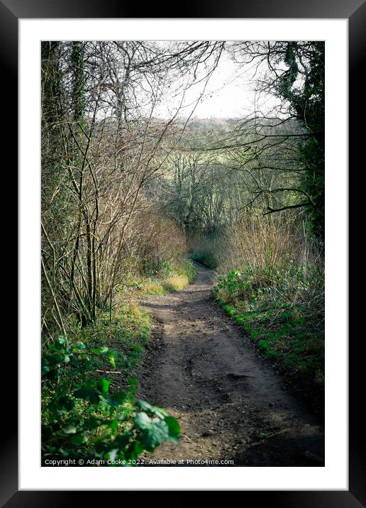 Selson Wood Nature Reserve | Bird Sanctuary Framed Mounted Print by Adam Cooke