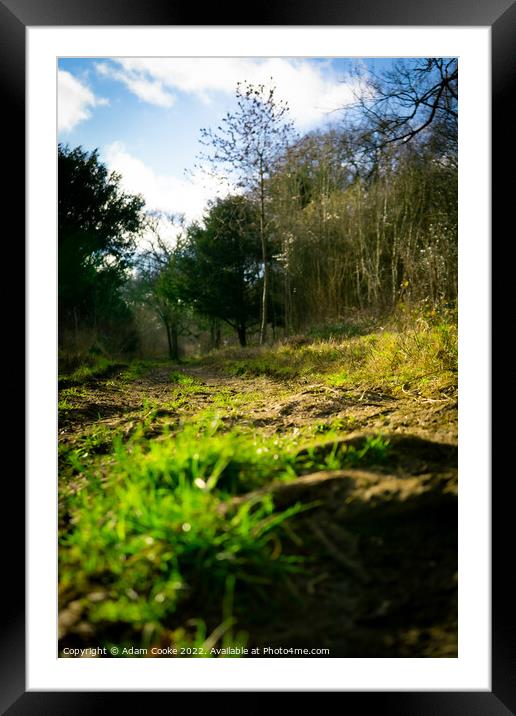 Ground Level | Selsdon Wood Nature Reserve | Bird  Framed Mounted Print by Adam Cooke