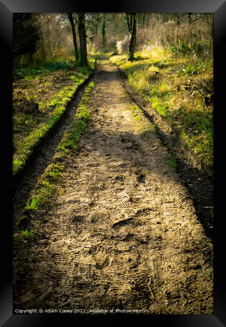 Muddy Path Ahead | Selsdon Wood Nature Reserve | B Framed Print by Adam Cooke