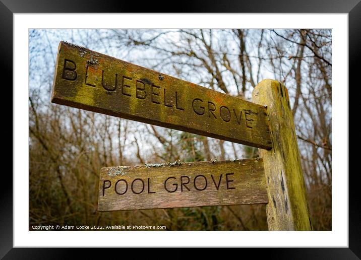 Bluebell Grove or Pool Grove? | Selsdon Wood Natur Framed Mounted Print by Adam Cooke