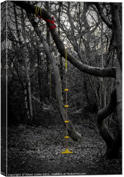 Rope Swing | Selsdon Wood Nature Reserve Canvas Print by Adam Cooke