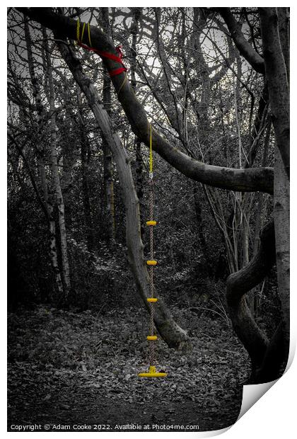 Rope Swing | Selsdon Wood Nature Reserve Print by Adam Cooke