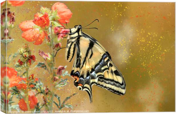 Swallowtail with Attitude Canvas Print by Donna Kennedy
