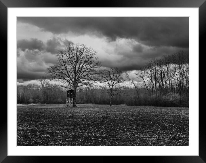 Mostviertel Winter Landscape with Tree Framed Mounted Print by Dietmar Rauscher