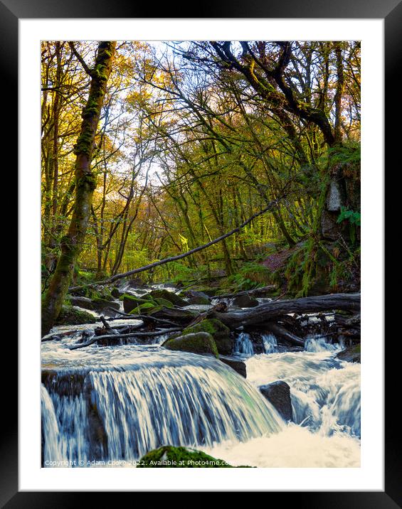 Portrait View of Golitha Falls | Bodmin Moor | Cornwall Framed Mounted Print by Adam Cooke