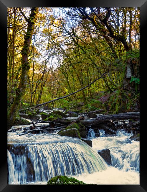 Portrait View of Golitha Falls | Bodmin Moor | Cornwall Framed Print by Adam Cooke