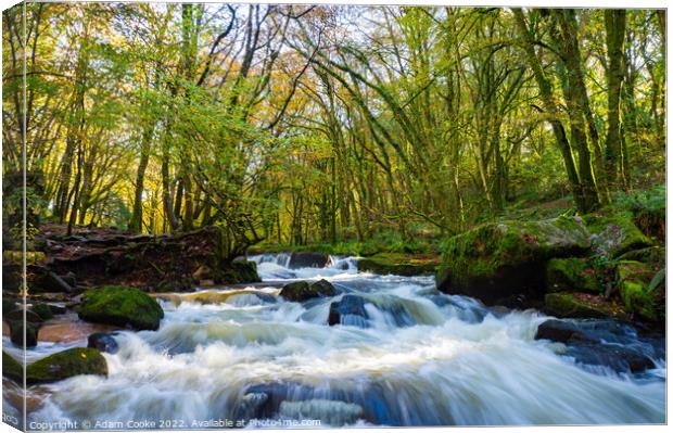 Landscape View of Golitha Falls | Bodmin Moor | Cornwall Canvas Print by Adam Cooke