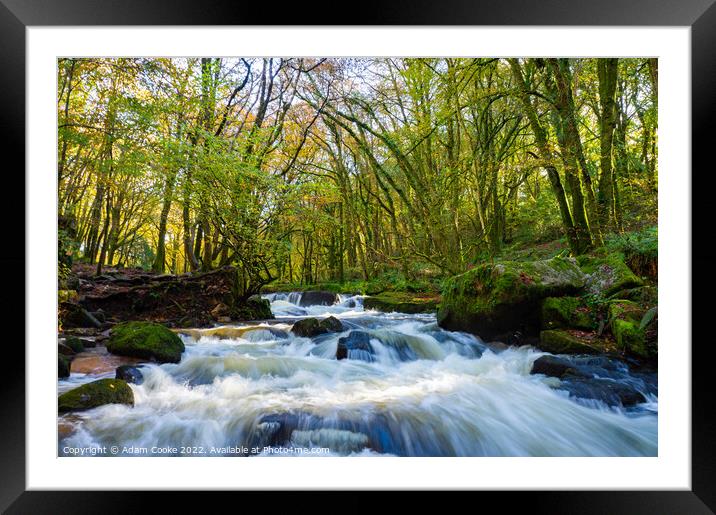 Landscape View of Golitha Falls | Bodmin Moor | Cornwall Framed Mounted Print by Adam Cooke