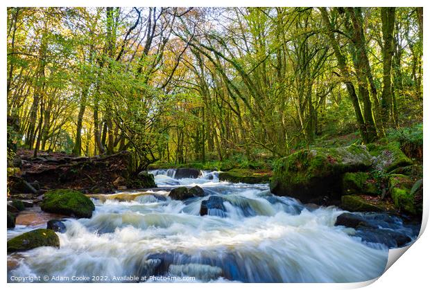 Landscape View of Golitha Falls | Bodmin Moor | Cornwall Print by Adam Cooke