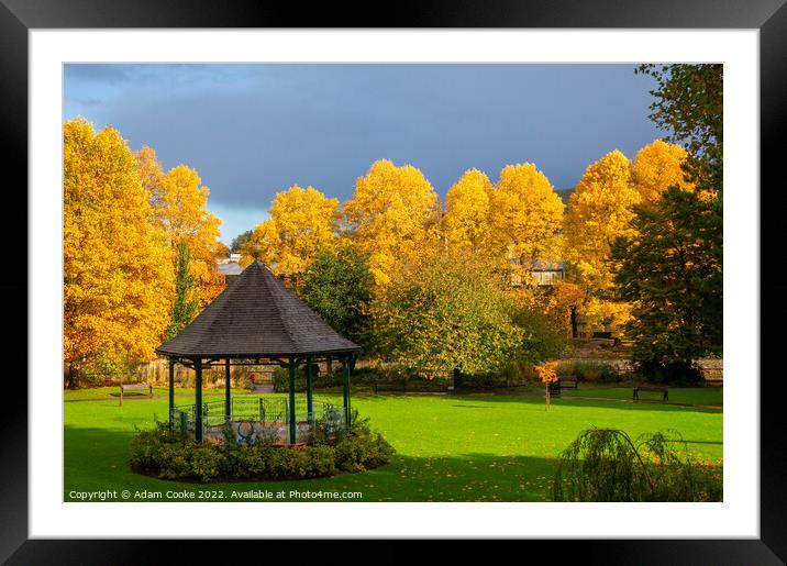 Bandstand | Royal Victoria Park | Bath Framed Mounted Print by Adam Cooke