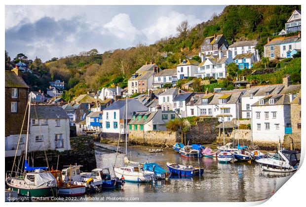 Polperro Harbour Buildings | Polperro | Cornwall Print by Adam Cooke