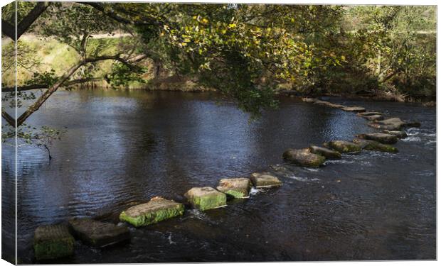 Stepping stones span the River Derwent Canvas Print by Jason Wells