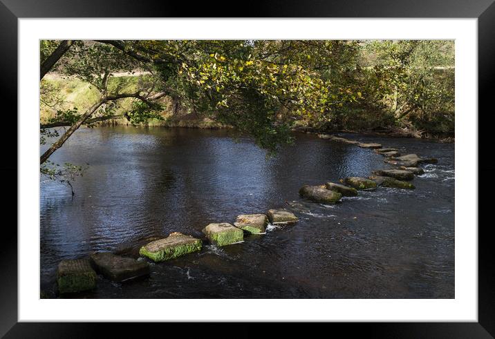 Stepping stones span the River Derwent Framed Mounted Print by Jason Wells