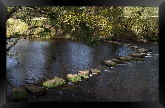 Stepping stones span the River Derwent Framed Print by Jason Wells