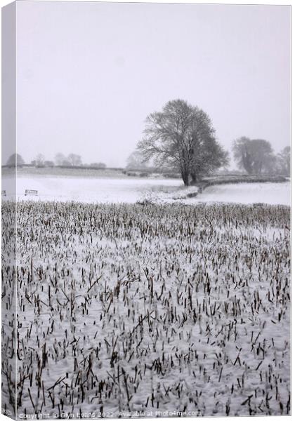 Winters day in Cowbridge Canvas Print by Glyn Evans
