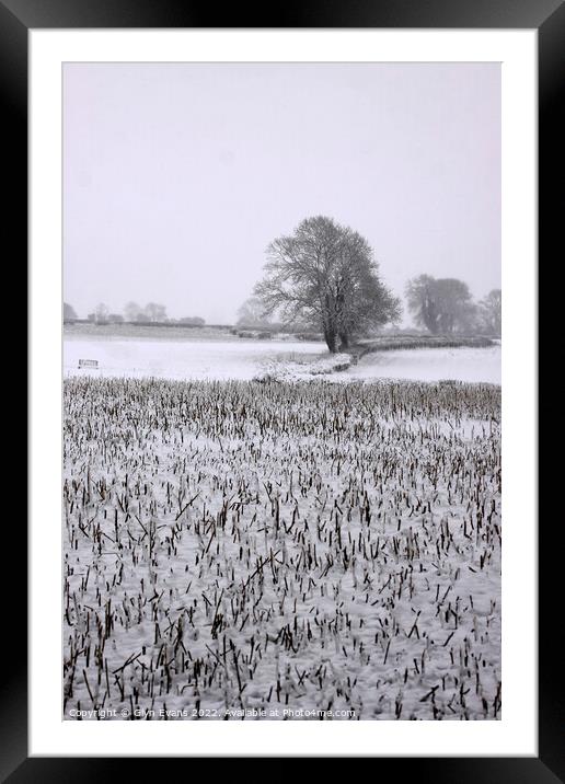 Winters day in Cowbridge Framed Mounted Print by Glyn Evans