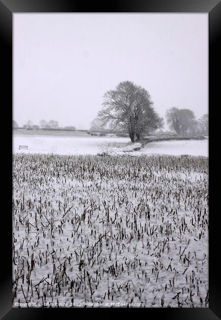 Winters day in Cowbridge Framed Print by Glyn Evans