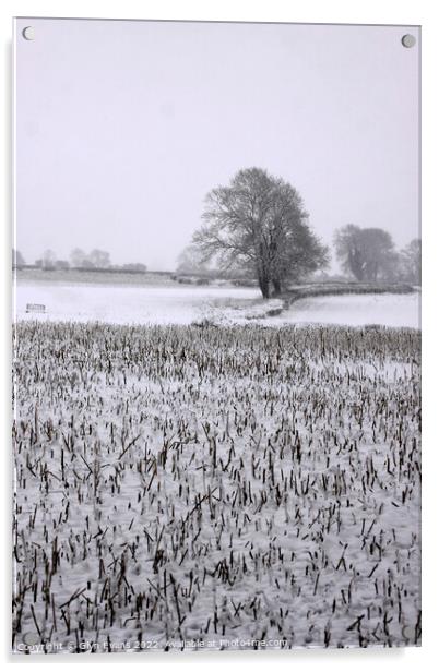 Winters day in Cowbridge Acrylic by Glyn Evans